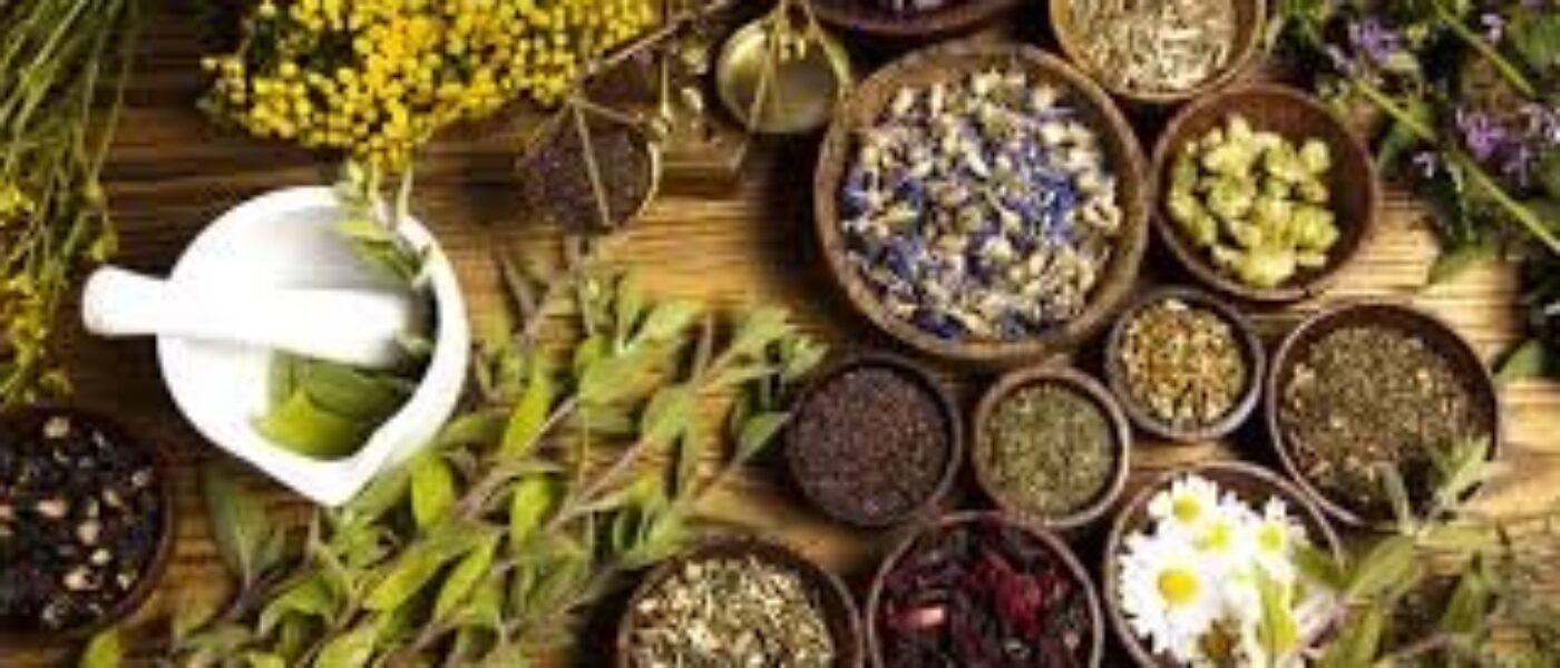 Bylinkový kalendár: zimná sila prírody mesiac po mesiaci