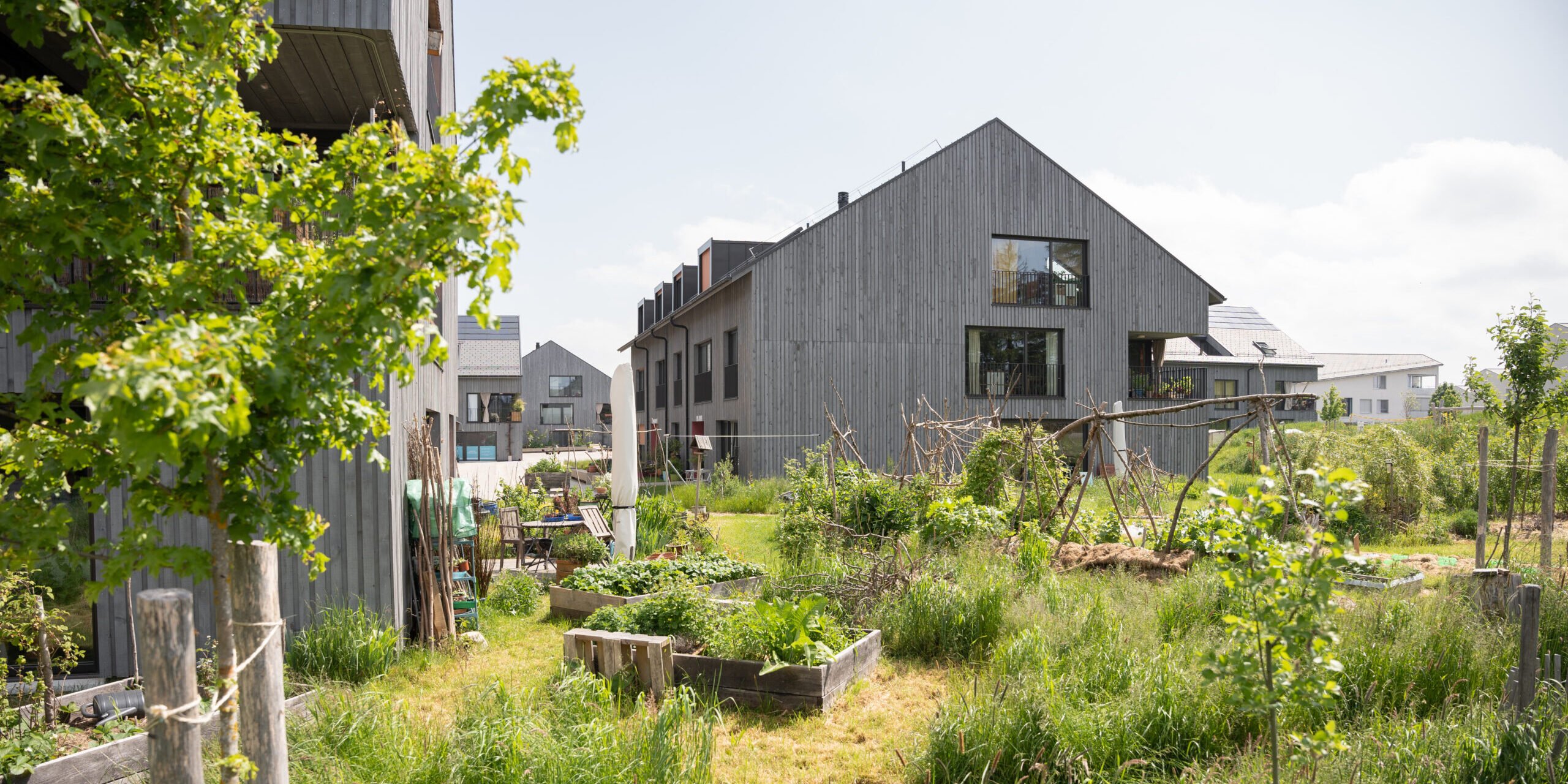 Biodiverzita a jej vplyv na bývanie Biodiverzita a jej vplyv na bývanie