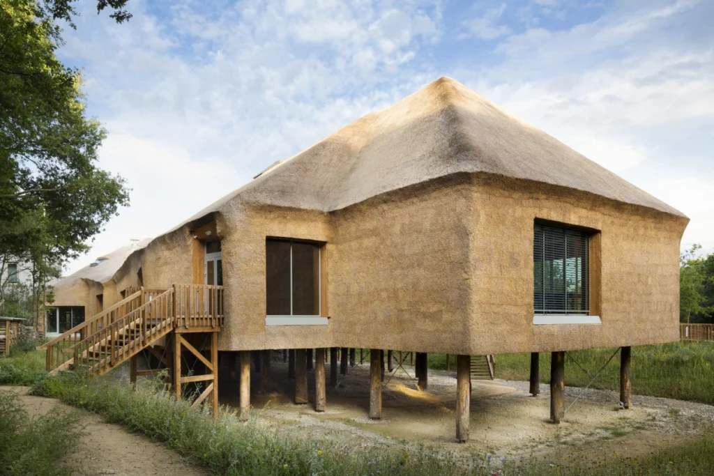 Biodiverzita a jej vplyv na bývanie